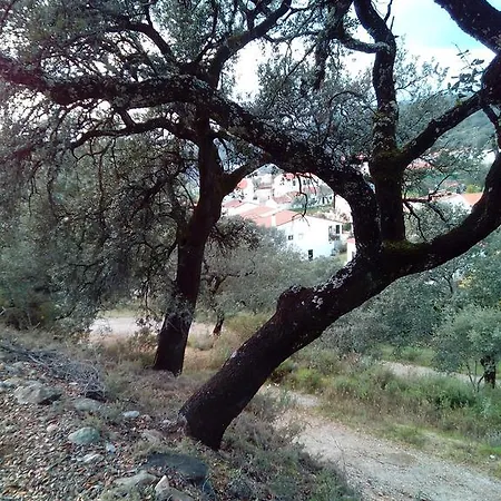 Montes Casa rural La Corte